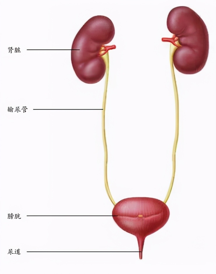 你天然拥有的无价之宝&mdash;&mdash;身体