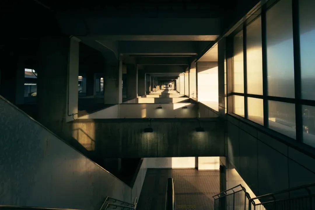 摄影是一门用“光”的艺术,就看你会不会用了