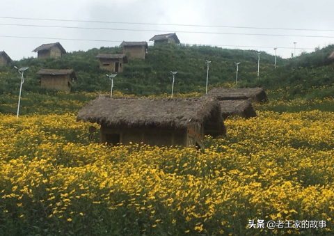 中医药康养，或成乡村旅游一剂良方