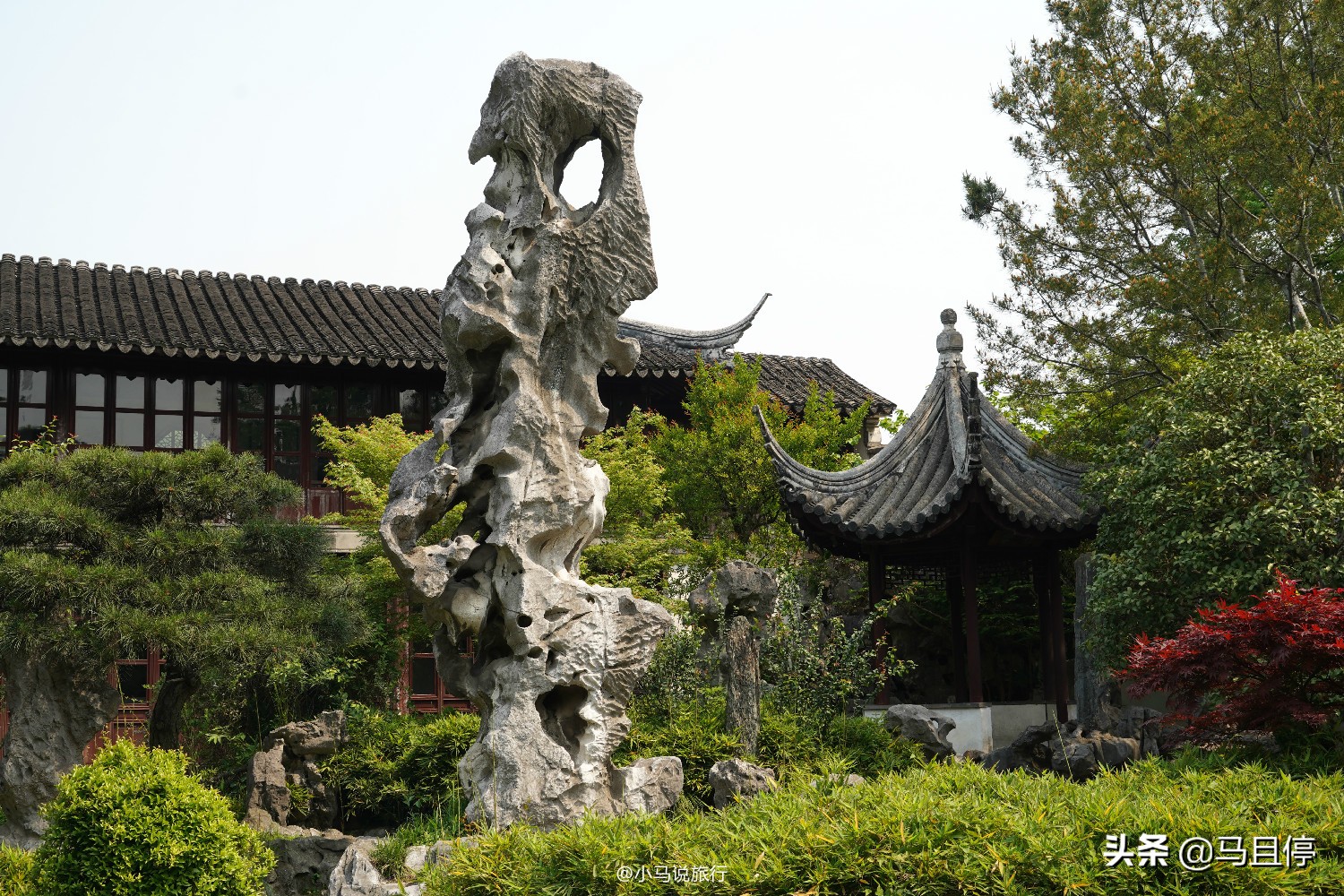Check in the niche gardens in Suzhou, the exterior looks ordinary, but the scenery inside is rich and beautiful
