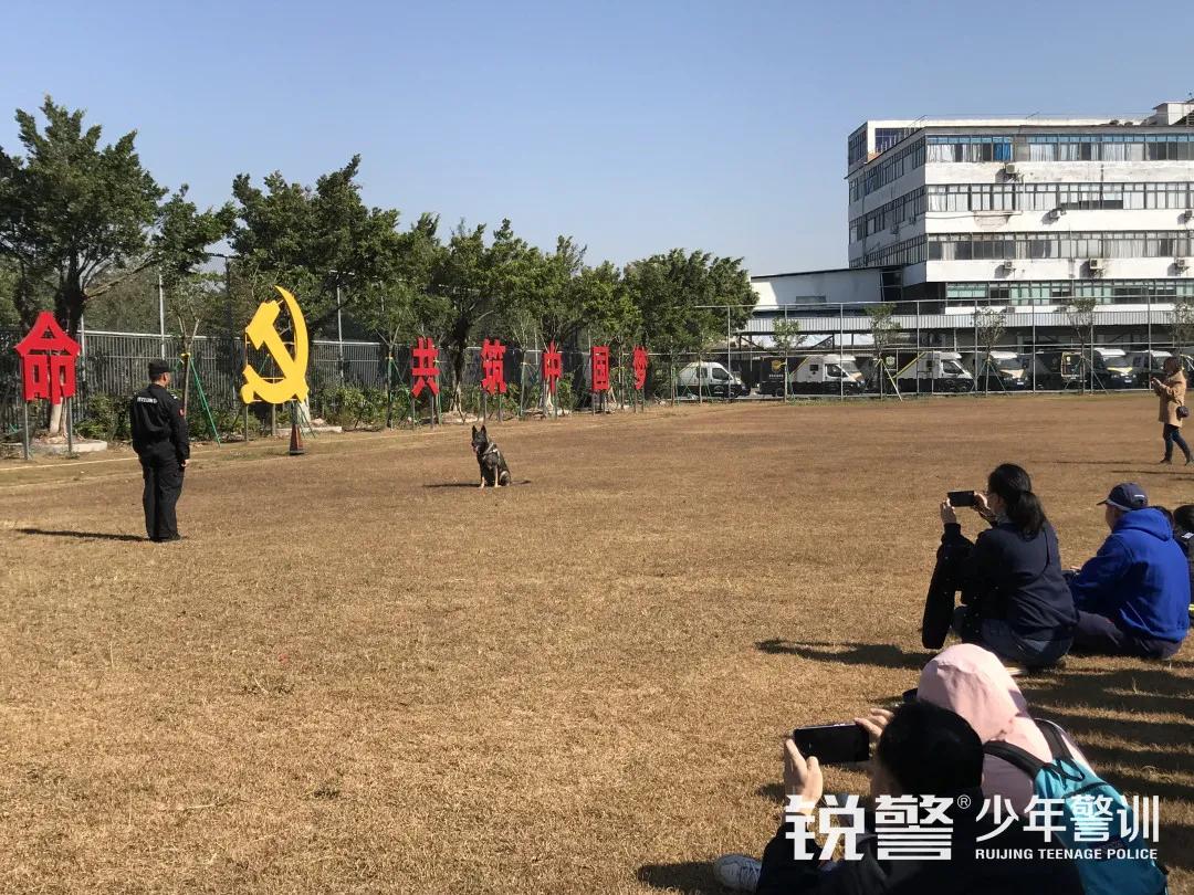 疯狂种草！人气爆棚的广州亲子游打卡地，收获快乐，提升技能