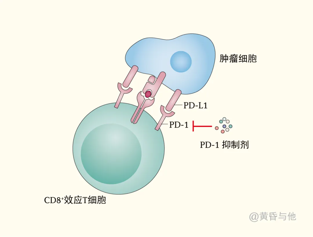 所有肿瘤患者都适合免疫治疗吗？