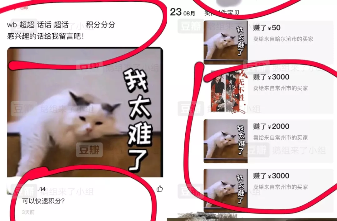 饭圈，终于要凉了