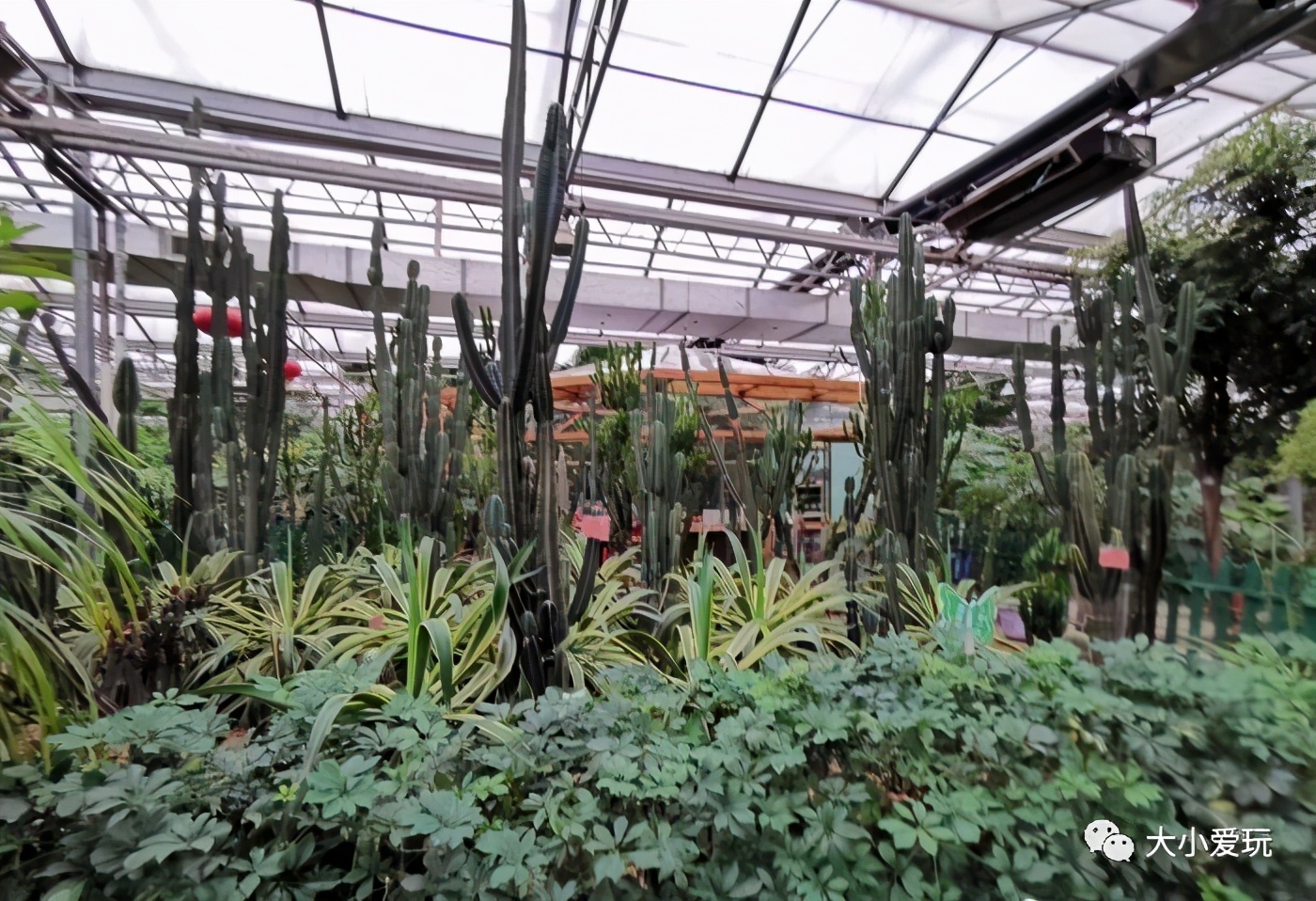 花店餐厅大盘点 让这些森系餐厅治愈这个特别冷的冬天慧生活信息技术有限公司