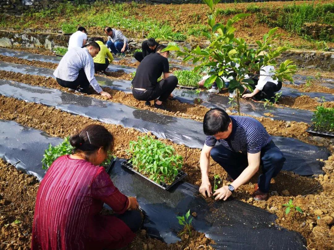 引领发展看汉滨系列之三??全省“七连优”，五里工业集中区这份成绩单好亮眼！