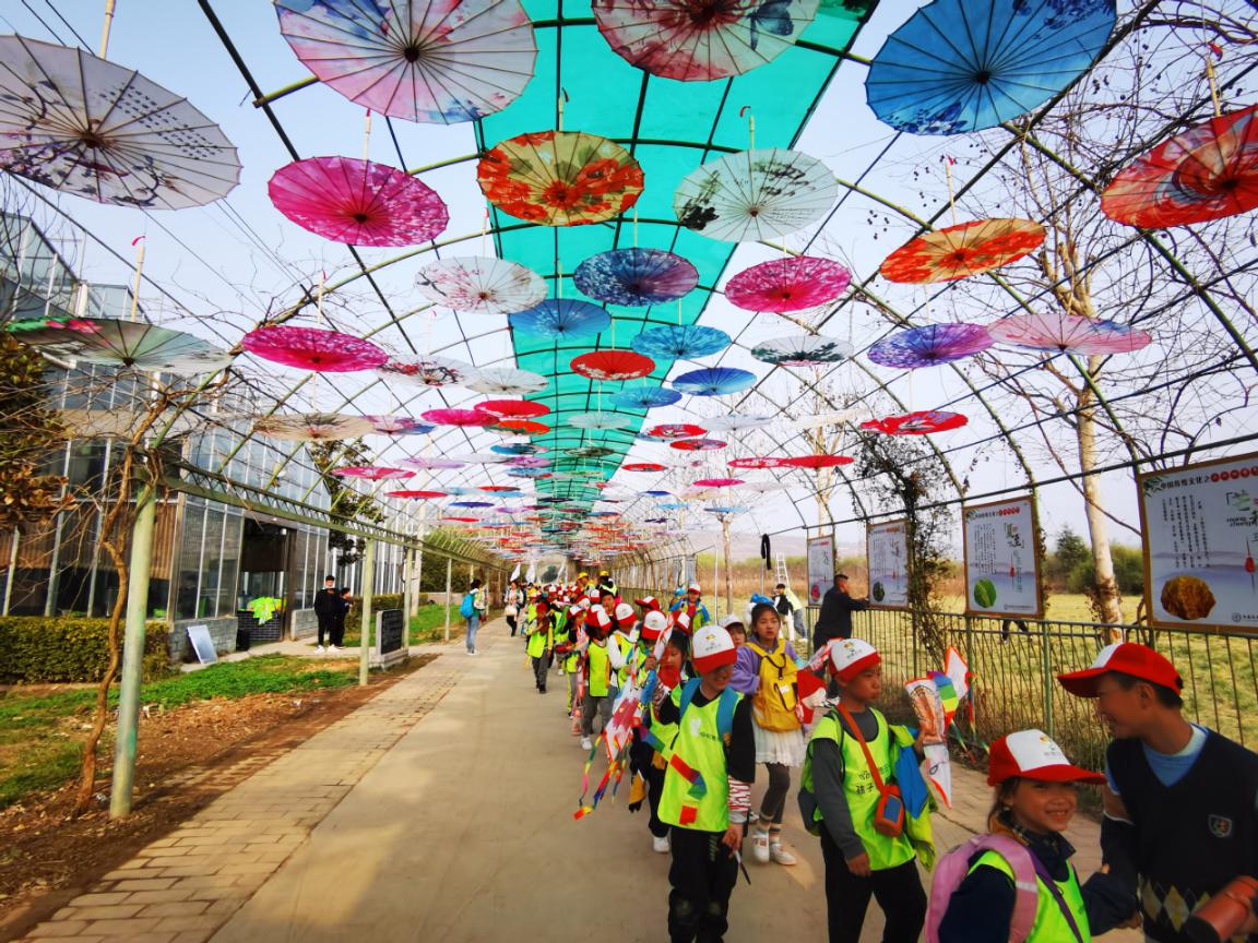 �ԷǷ��¾�ƽ������δ��Ϊ����ʦ������3000Ķ��ѧ���Ͷ���������