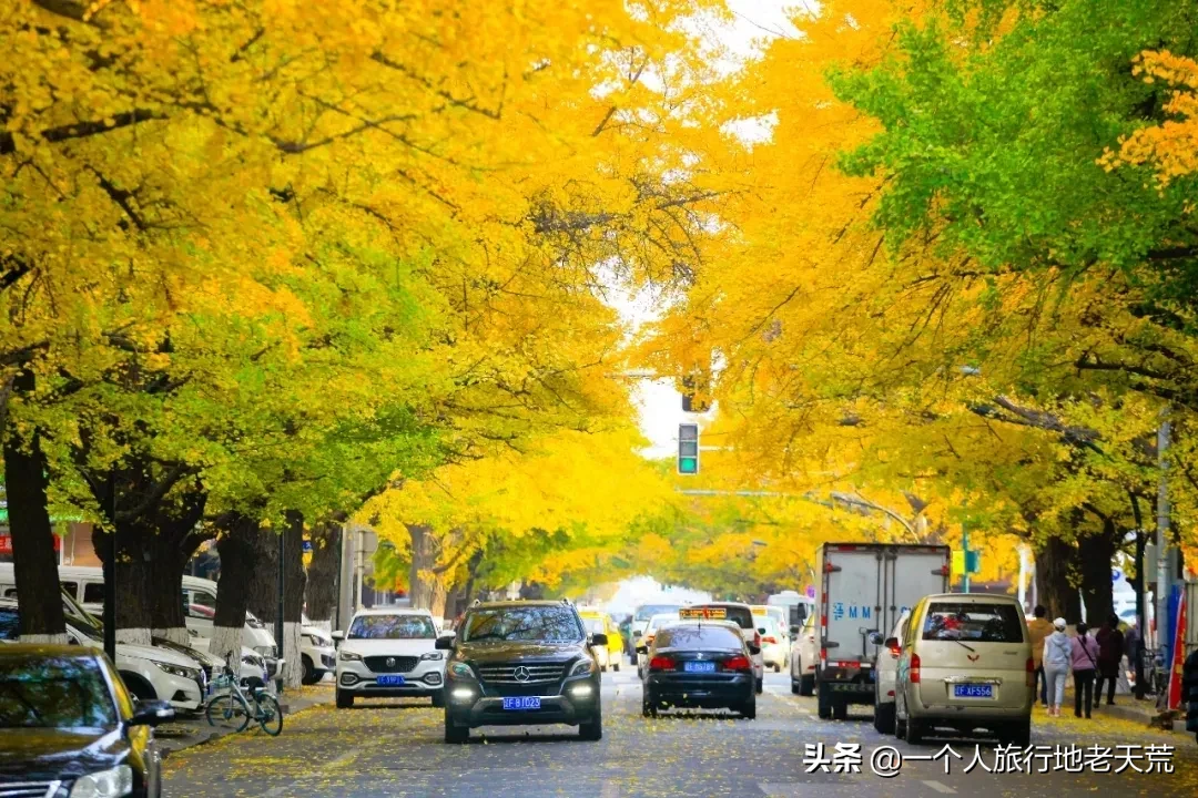 中国最大最美的边境城市，10月将迎来颜值巅峰