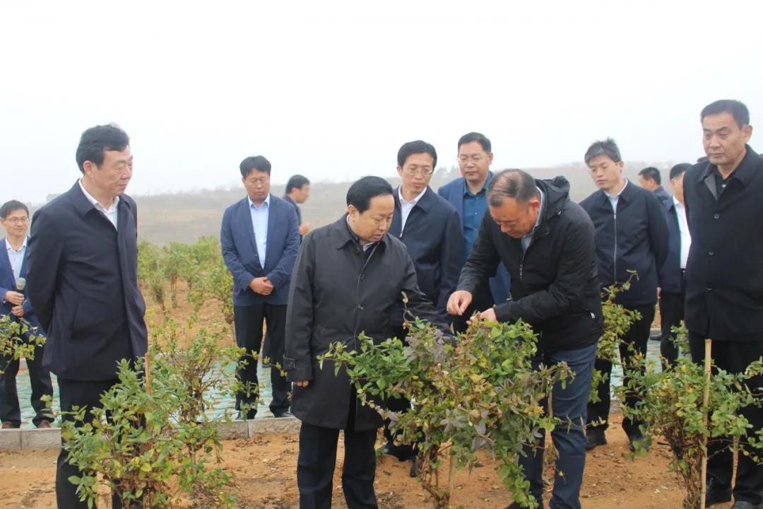 李希信到临沂市调研乡村振兴和农村人居环境整治工作