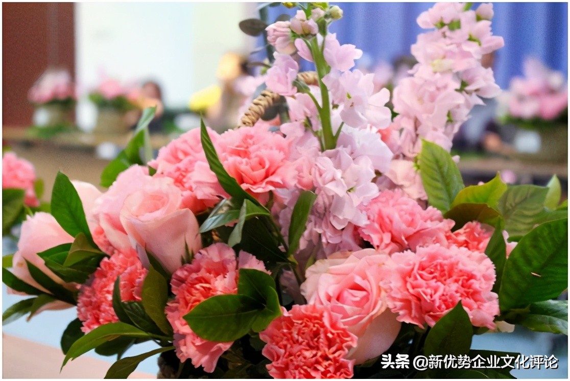 活动|三八妇女节创意活动方案 创意主题和活动都给你想好了