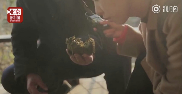 租借大熊猫每年每只100万美元，租期10年，最后，