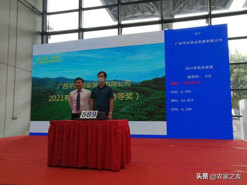 35000元一斤六堡茶！桂茶杯&ldquo;拍&rdquo;出新亮点