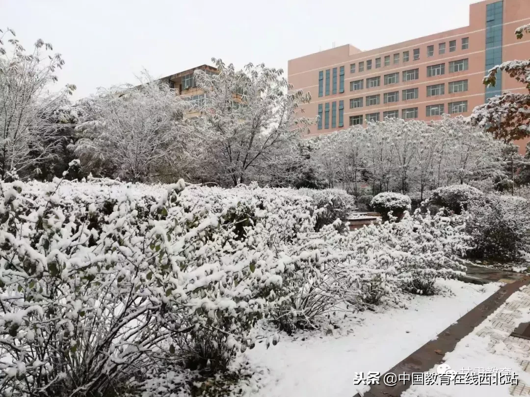 甘肃初雪|甘肃18所高校初学雪景大PK,快来看看有你的母校没?