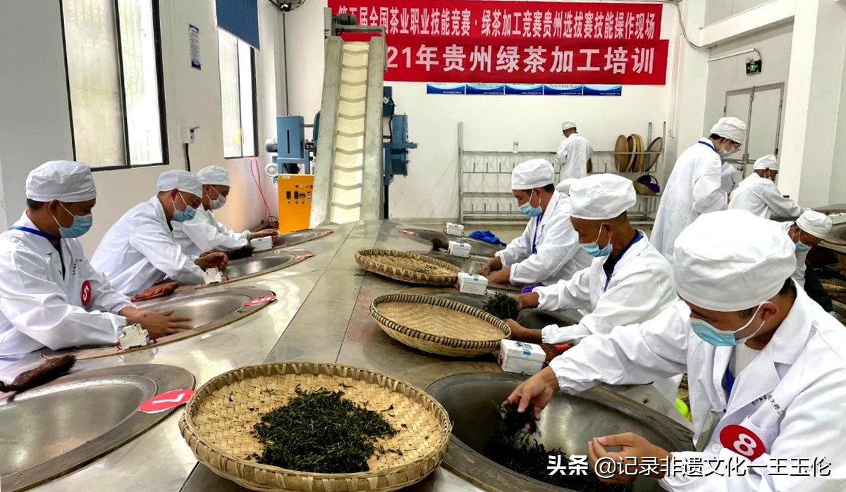 第五届全国茶业职业技能竞赛绿茶加工竞赛贵州选拔赛正式启动