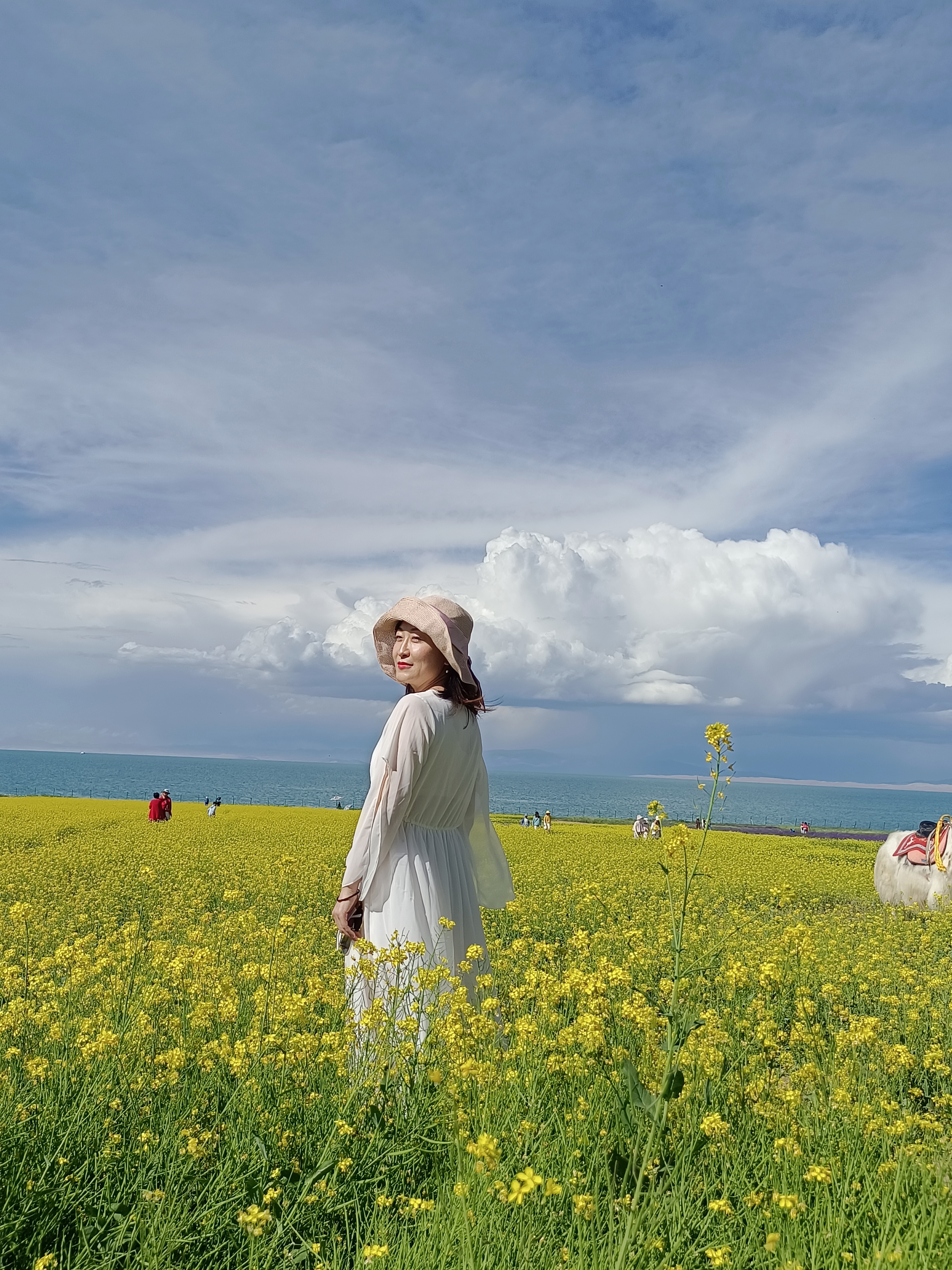 青海摄影作品选登