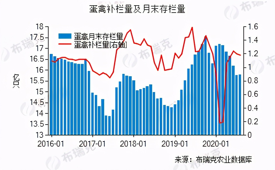 12月鸡蛋反弹明显 元旦前后存在回落可能