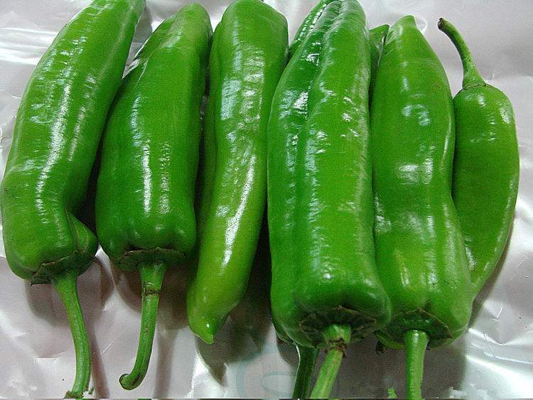 买辣椒时，怎样区分辣和不辣，湖南妹来带你了解其中的奥妙
