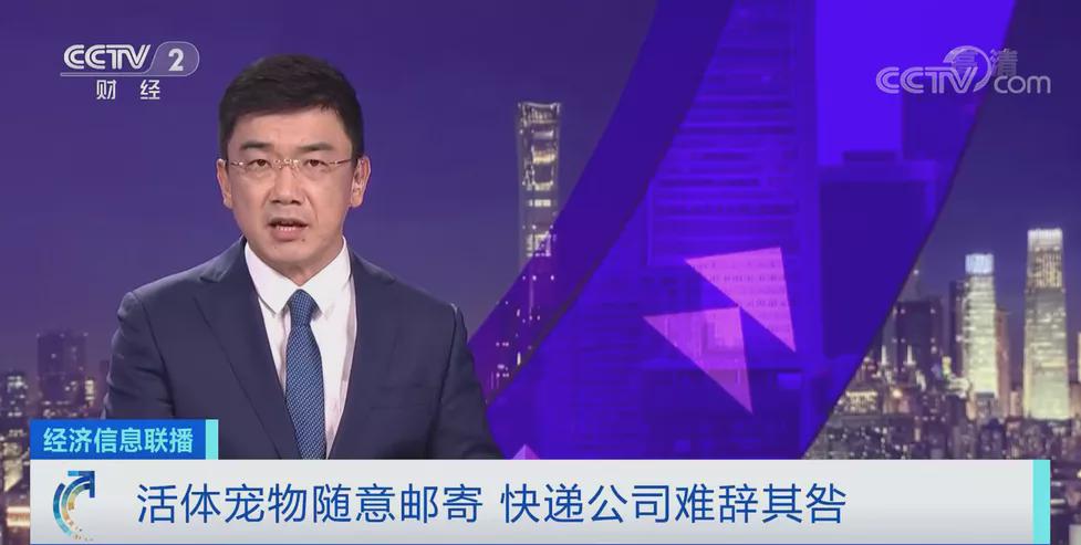 活活憋死，满车尸体，1条命只值￥9.9，宠物盲盒让全网震怒