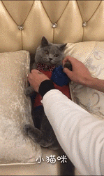 搞笑gif神评：一个人无聊起来什么都做得出来