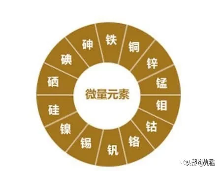 儿童补锌你知道的都在这里！快来围观