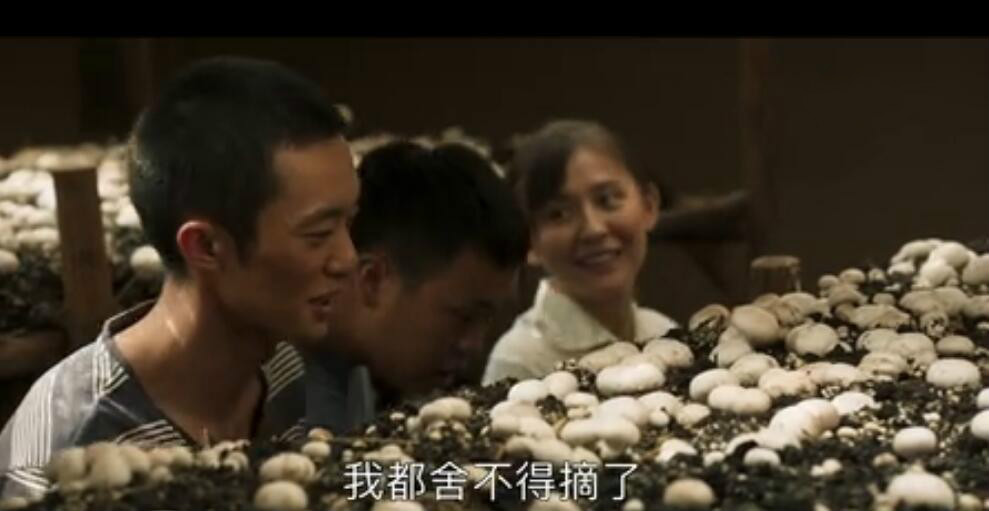 粮食缺口1.3亿吨？“逼退”农民不愿种地，一关键点，六大原因