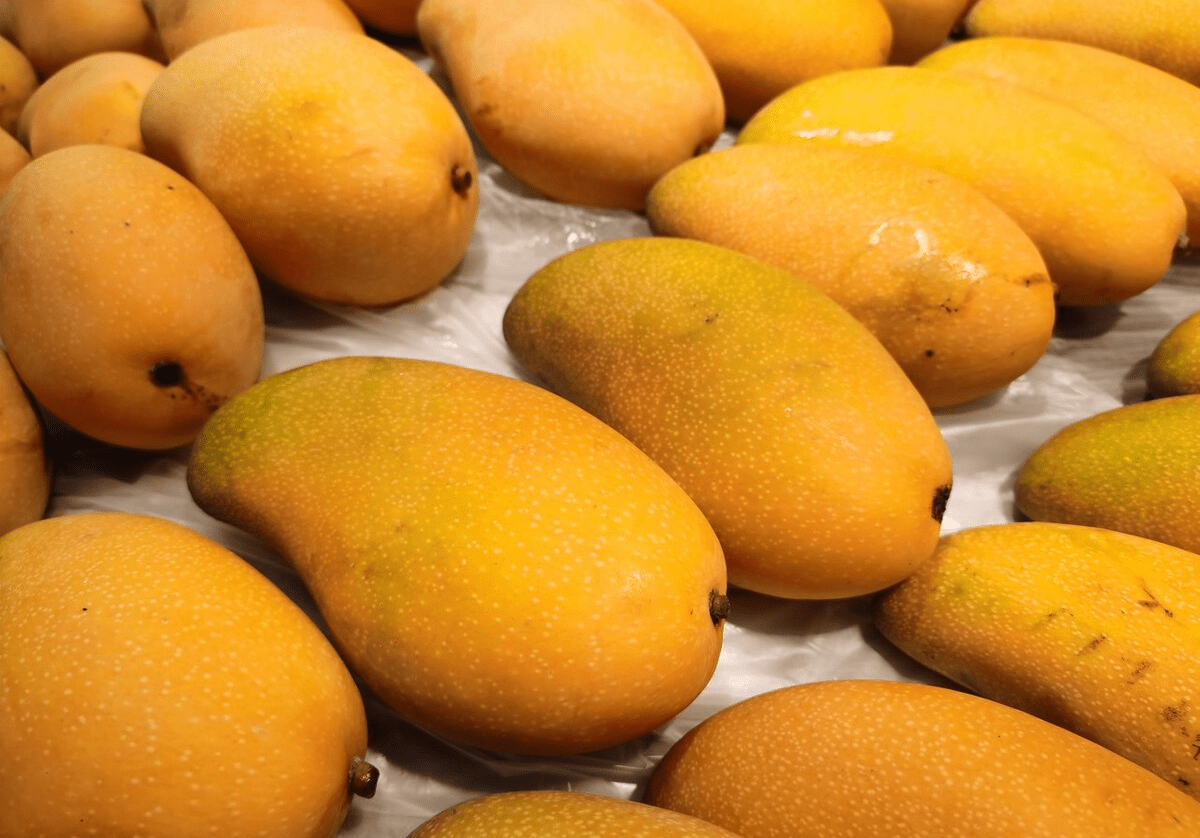 買芒果別只會挑大的，學會這4招，肉厚核薄香又甜，不花冤枉錢