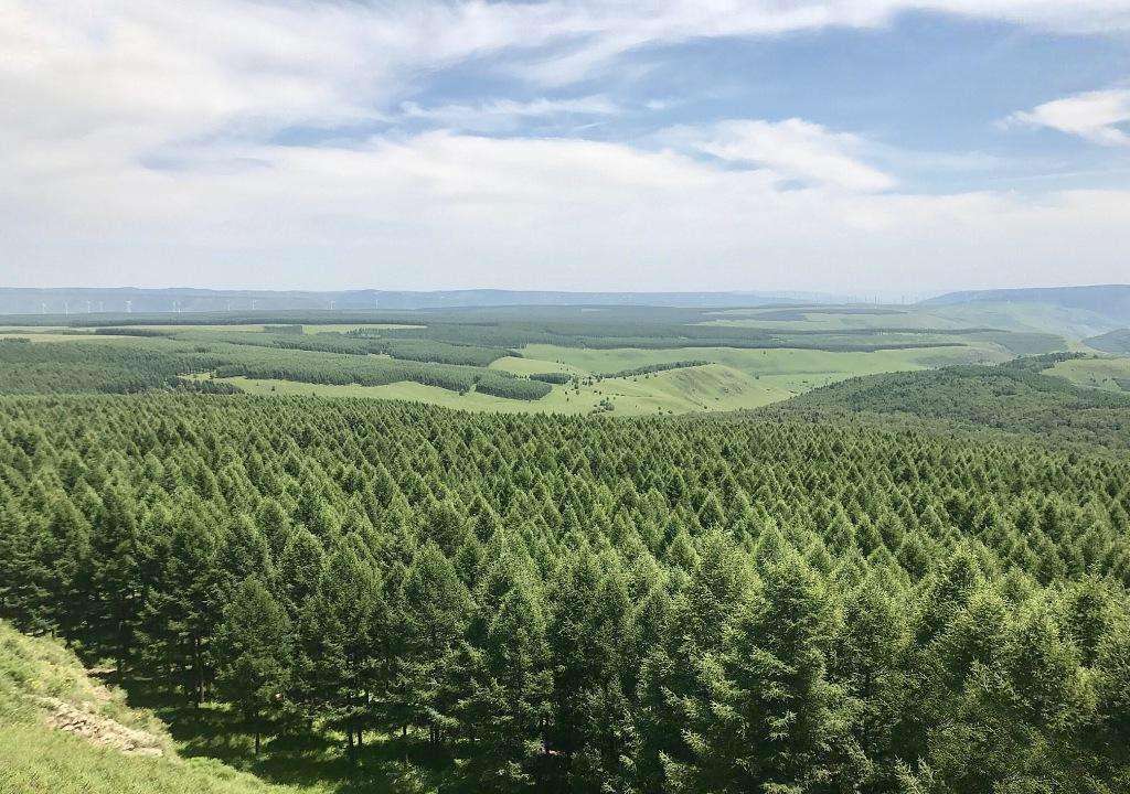 沙尘暴来袭!覆盖了小半个中国的三北防护林是怎么抵挡风沙的?