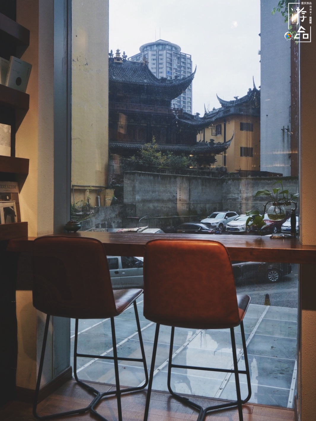 不被人理解的刀锋书酒馆：老板辞去高薪外企工作，独自经营小书店