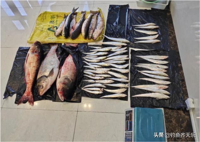 武汉男子在长江电鱼，结果被抓！网友：钓鱼都不让你还敢“电”