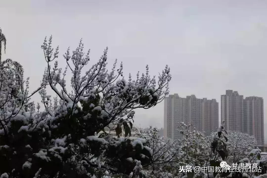 甘肃初雪|甘肃18所高校初学雪景大PK,快来看看有你的母校没?