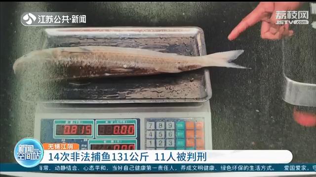 11人非法捕鱼被判刑！14次共获物131公斤，还使用禁用渔具