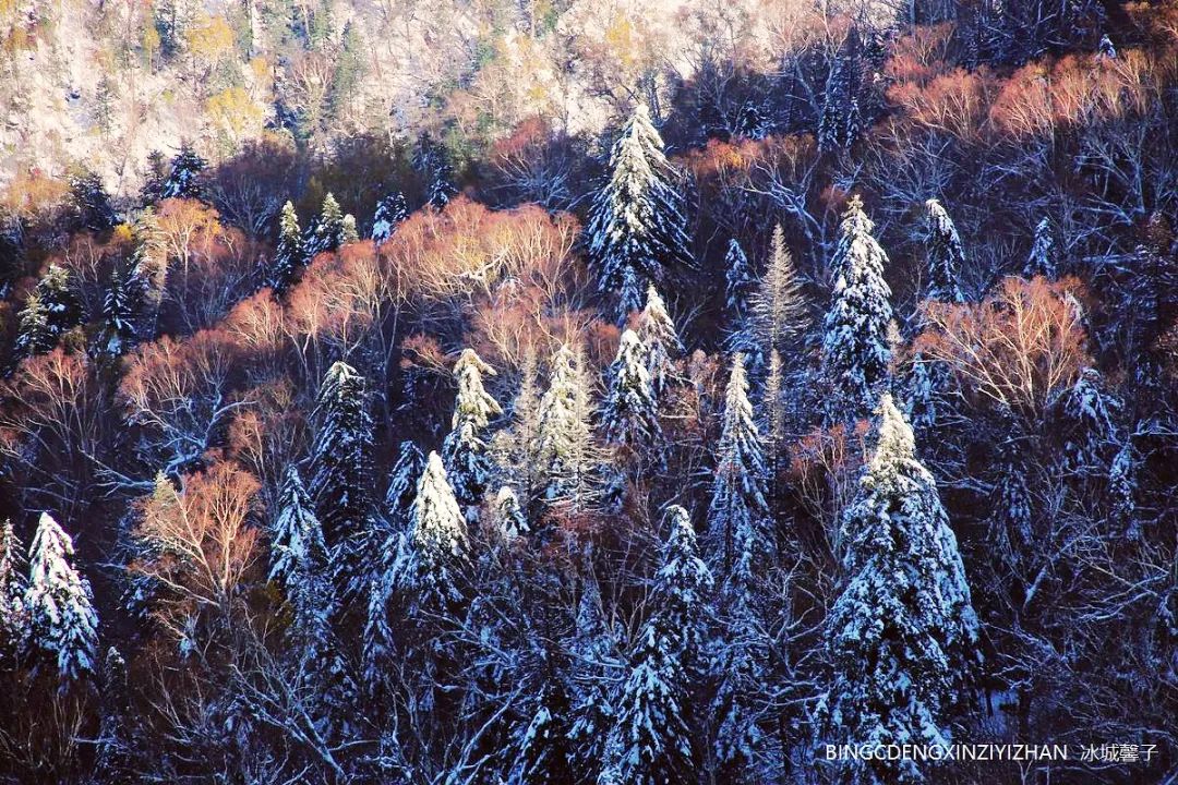 Xuexiang Tianlu, walking through the poetry of autumn leaves dancing with the first snow