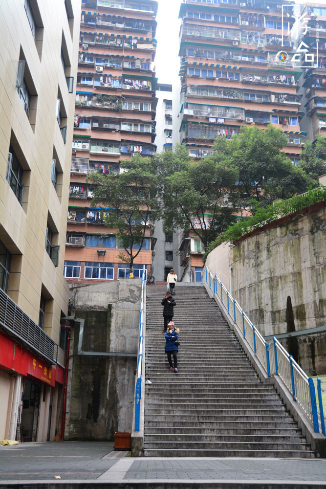 令人抓狂的重庆山城步道：用数字命名的，只有第3与第8步道吗？