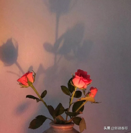祝老公生日的霸气短句 老公生日快乐幽默俏皮图片