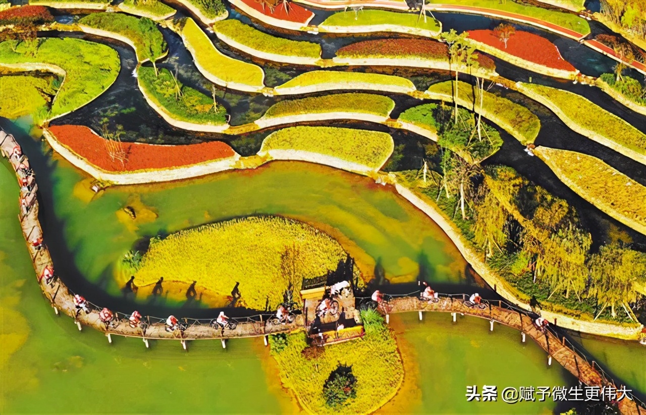 暗香吟——让腐植酸从土壤中来到土壤中去