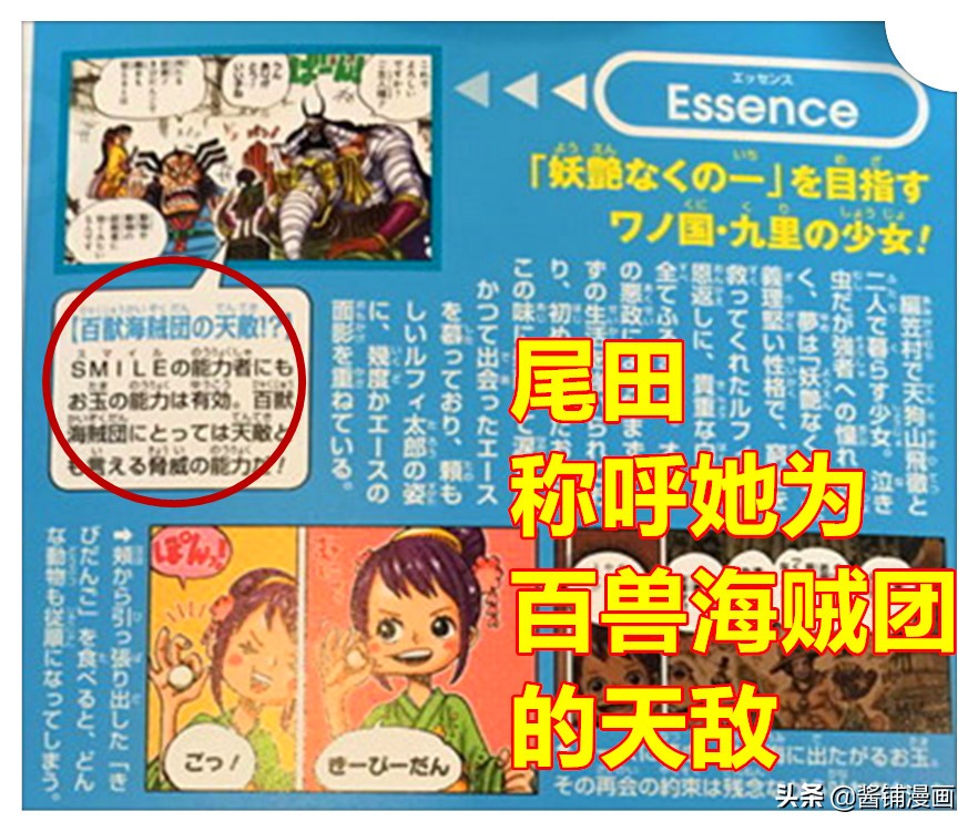 海賊王官方情報，尾田公布阿玉的生命卡，並解答吃了何種惡魔果實