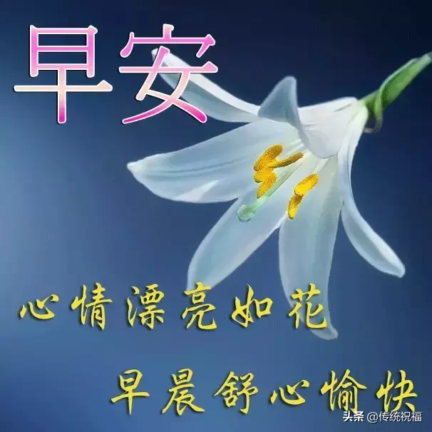 朋友們早上好祝福語圖片合集 早上好新版漂亮的表情包 - 早安心語