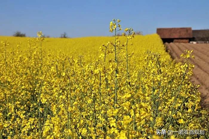 国土空间体系下的村庄规划到底要怎么做？