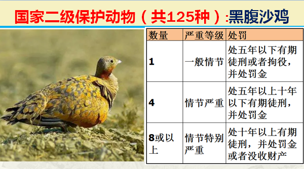 国家最新125类二级野生保护名录，图片及违法对应刑责