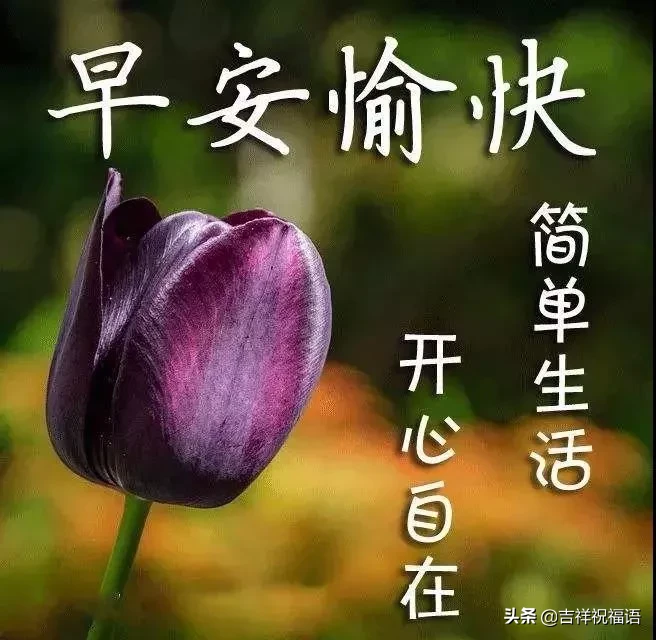 早上好问候语图片 早安祝福语漂亮图片图片