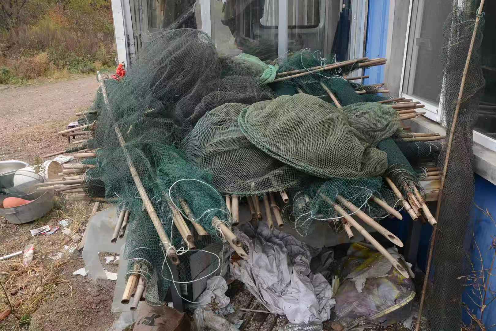 布下迷魂阵捕捉野鸭子绥棱男子非法狩猎30只鸳鸯幼崽