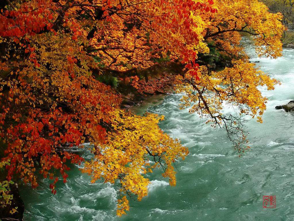 大美中国开启秋日幸福游，这些最适合赏枫叶的地方，你去过几个？