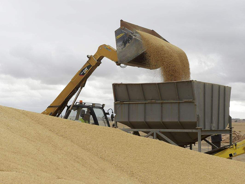 為尋求大麥接盤俠，澳官員不顧翻車猛夸印度疫苗：可以拯救全世界