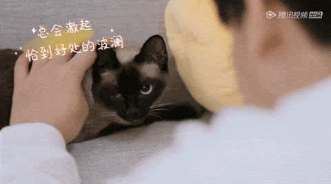 《让生活好看》：没人是一座孤岛，高质量的陪