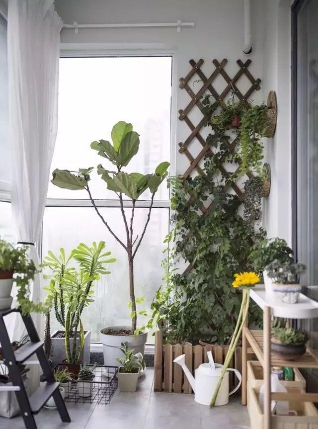 科普 ┃ 打通阳台和客厅，想好了做才不后悔。 ┃ 东方一木