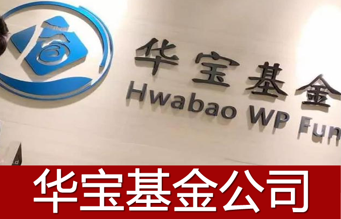 两支基金包揽消费科技医药所有龙头，华宝科技、华宝中证消费龙头
