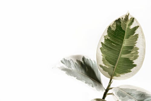 人到中年婚姻不幸福，有三步行动，帮你提升婚姻质量，挽回幸福