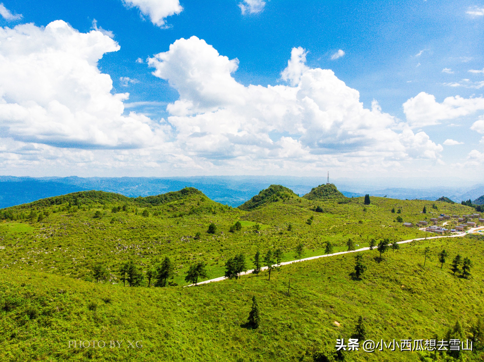 重庆不能错过的最美草场，夏季绝佳的避暑胜地