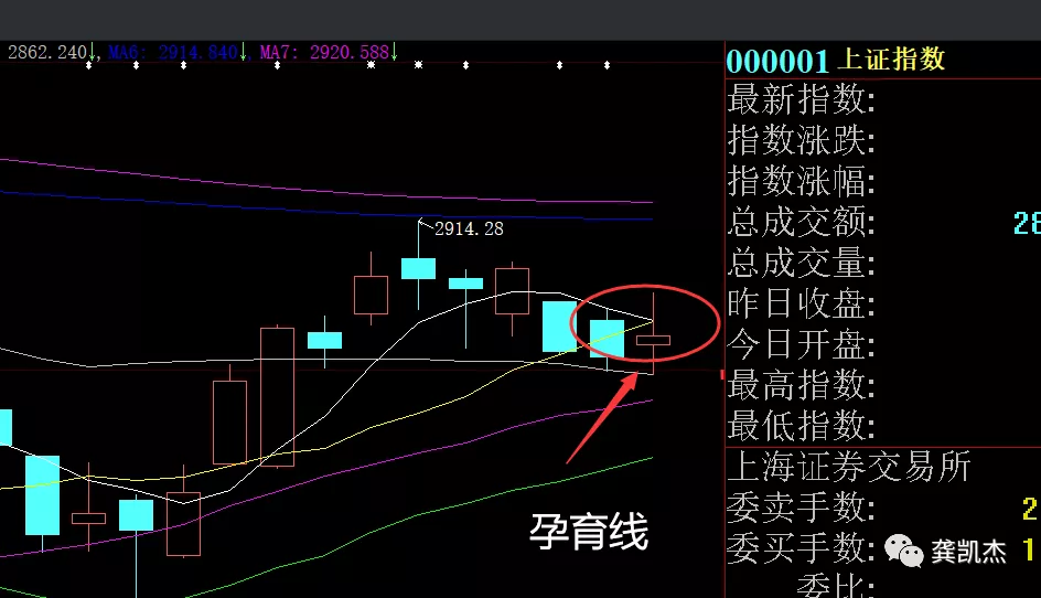 晚评：冰火两重天，重点关注上海国资板块