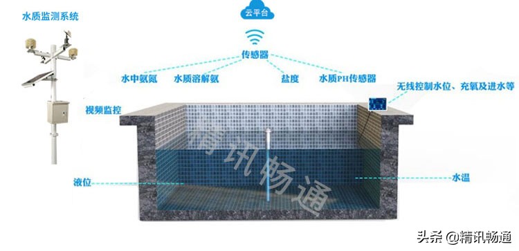 智慧水产养殖解决方案