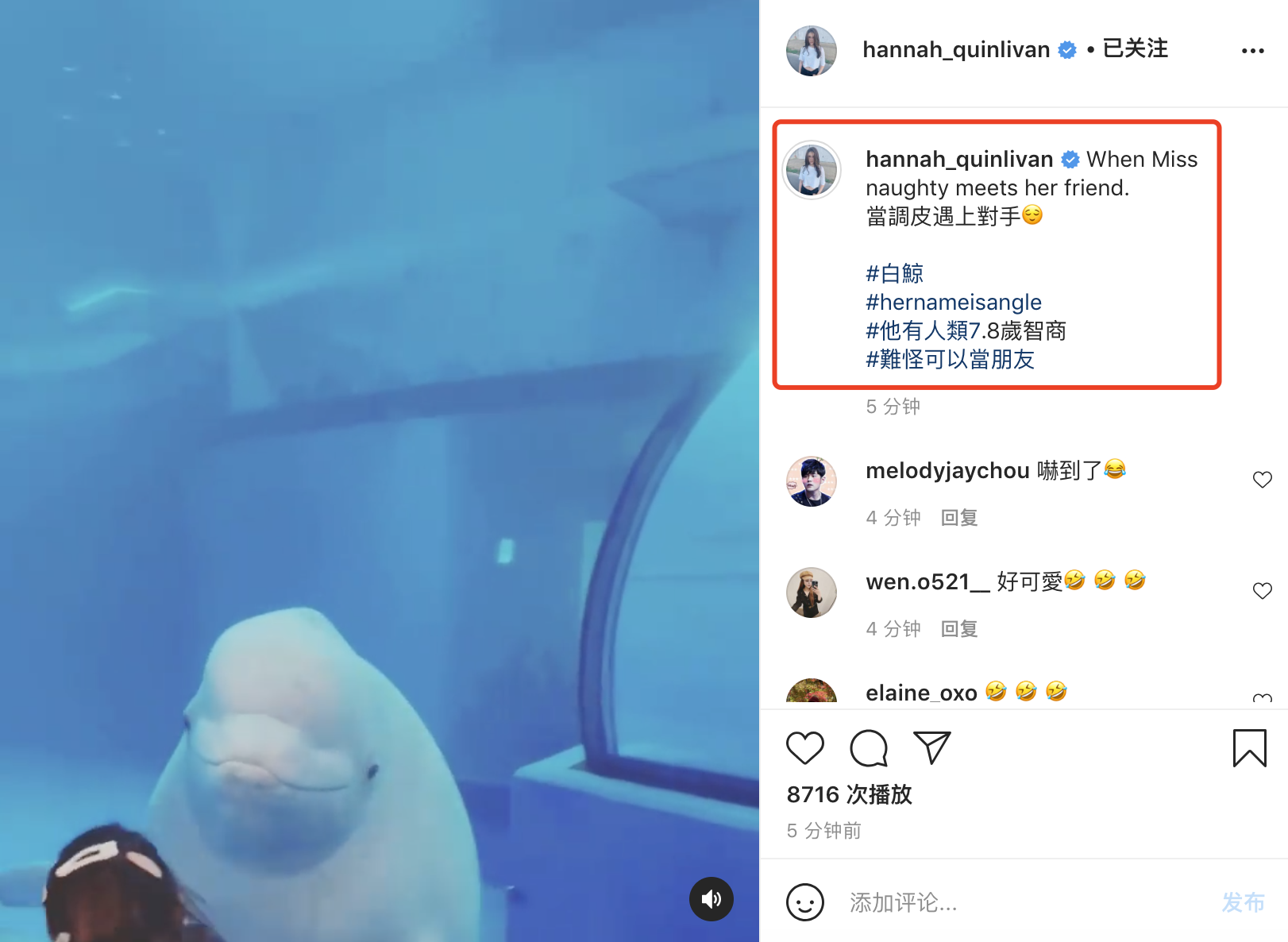 周杰倫耿直回應新專輯進度，帶妻兒游水族館，女兒與白鯨搞笑互動